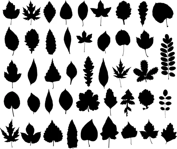 Leafs — Stock Vector