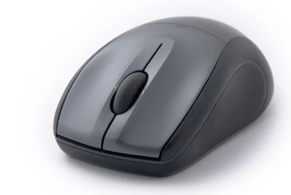 stock image Computer mouse