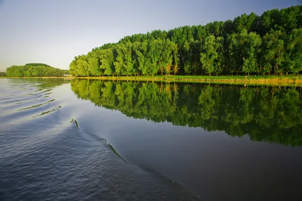 Река и лес — стоковое фото