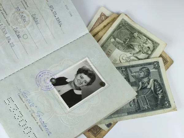 Passaporte e dinheiro — Fotografia de Stock