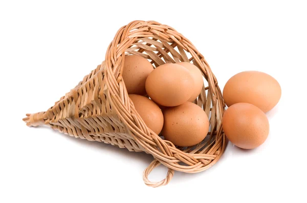 stock image Eggs