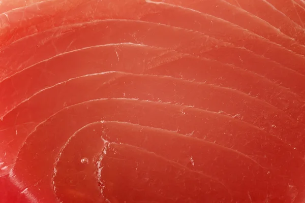 Филе тунца — стоковое фото