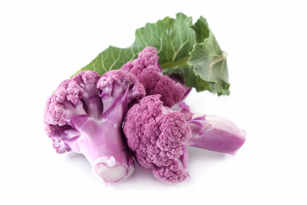 Пурпурная цветная капуста — стоковое фото