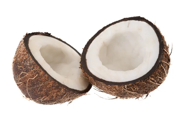 stock image Coconut