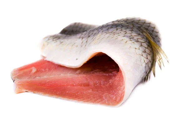 Ringa balığı filetosu — Stok fotoğraf