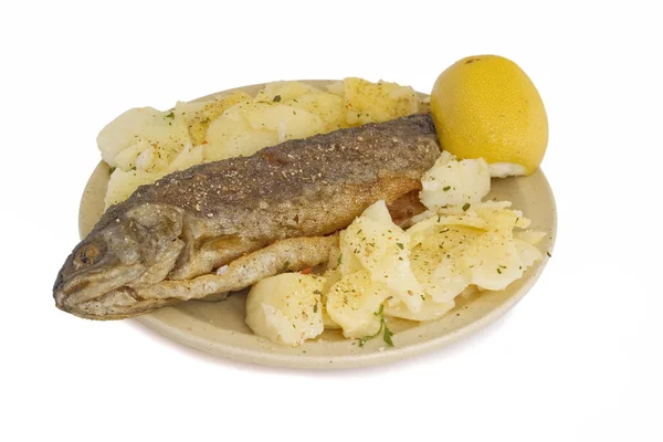 물고기 점심 — 스톡 사진