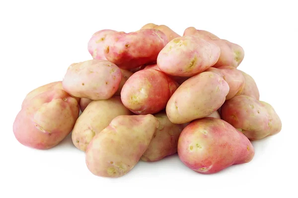 stock image Young Potatoes