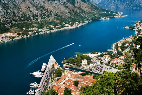Kotor Montenegro —  Fotos de Stock