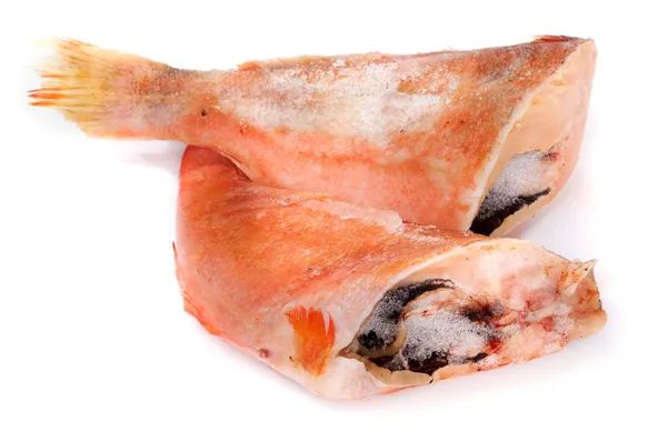 냉동된 빨간 식용 물고기 — 스톡 사진