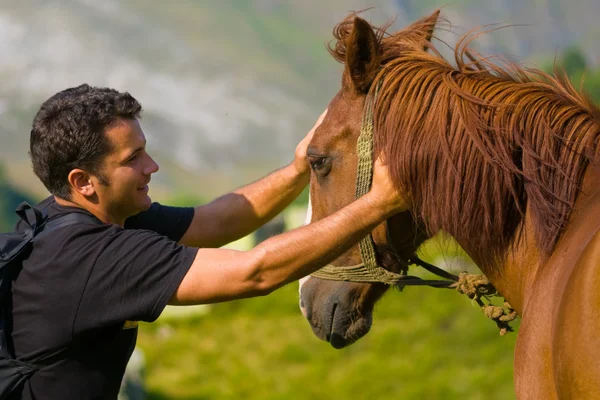 stock image Young Man and Horse