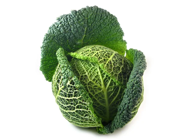 Savoy Cabbage Stock Picture