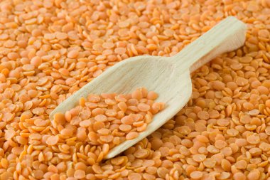 Orange Lentil Seeds clipart