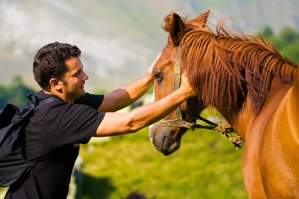 stock image Young Man and Horse