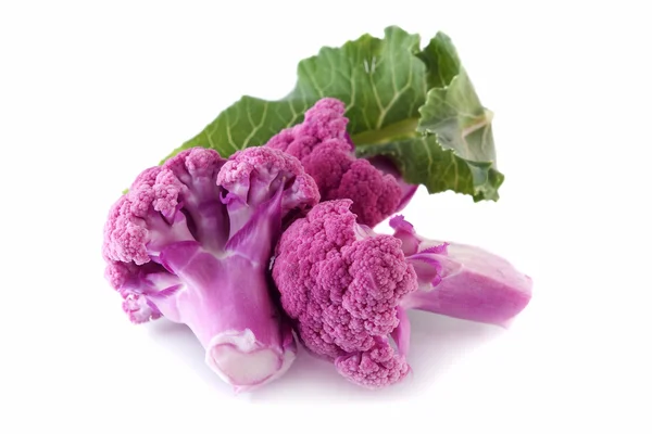 Фіолетовий салату — стокове фото