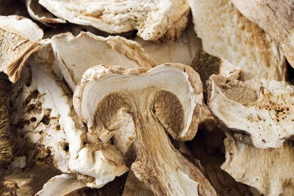 Dried porcini mushrooms — Stock Photo, Image