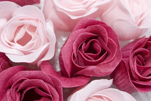 Rosa und rote Rosen — Stockfoto