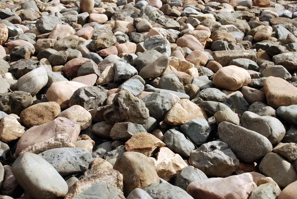 Muitas pedras na praia. — Fotografia de Stock