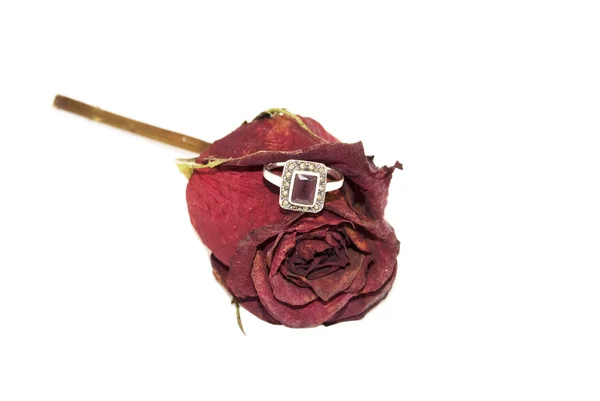 Wedding ring on red rose — Stock Photo, Image