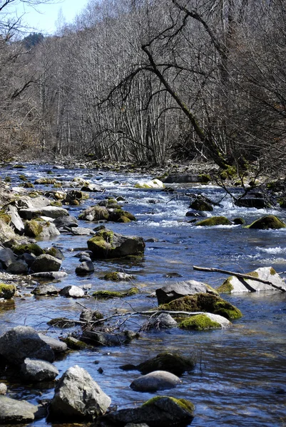 Belle rivière de montagne au printemps sunli Photos De Stock Libres De Droits