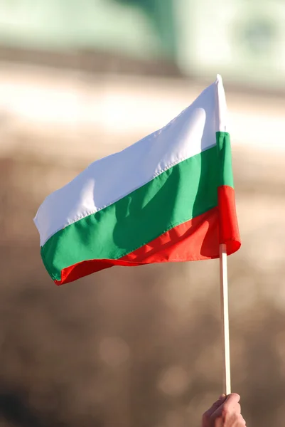 Bolgár zászló Stock Kép