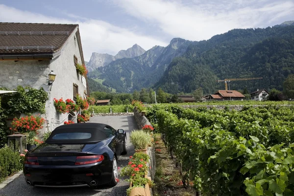 Vineyard and car