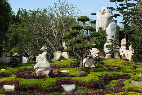 Sehr schöner natürlicher tropischer Garten — Stockfoto