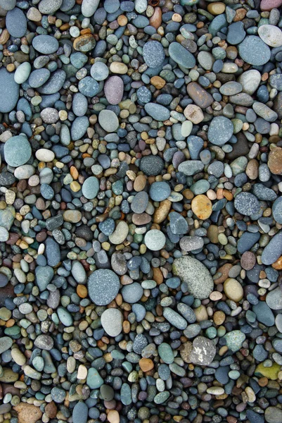 Glanzende natte veelkleurige kiezels op het strand — Stockfoto