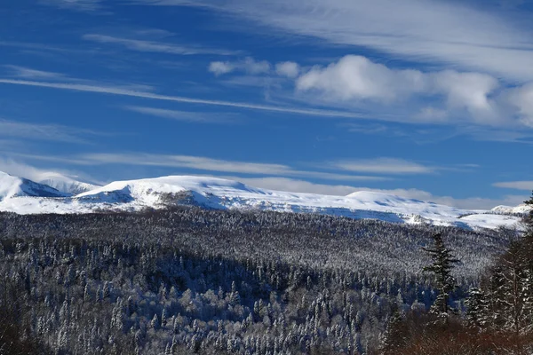 겨울 날 햇볕에 산 — 스톡 사진