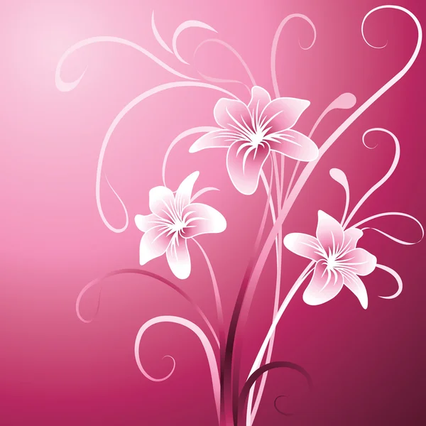 Lily on pink background — Stock Vector