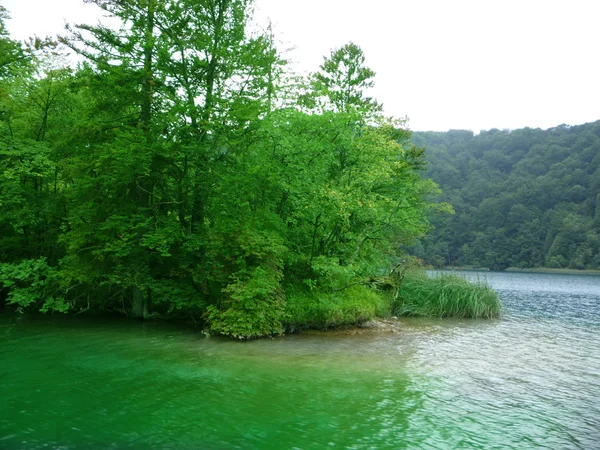 Plitvica 湖 — 图库照片