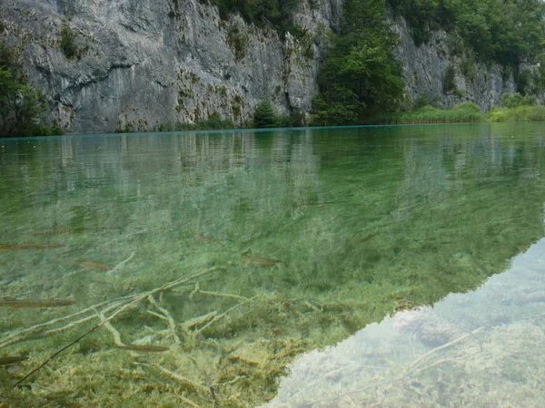 Plitvica lakes — Stock Photo, Image