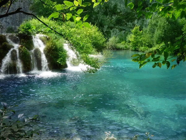 Lacs de Plitvica — Photo