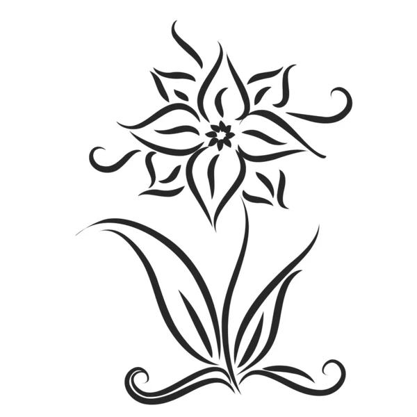 Fond avec fleur et feuillage — Image vectorielle