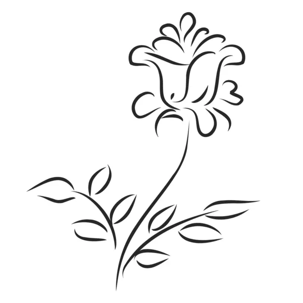 Φόντο με το φύλλωμα και το λουλούδι — Διανυσματικό Αρχείο