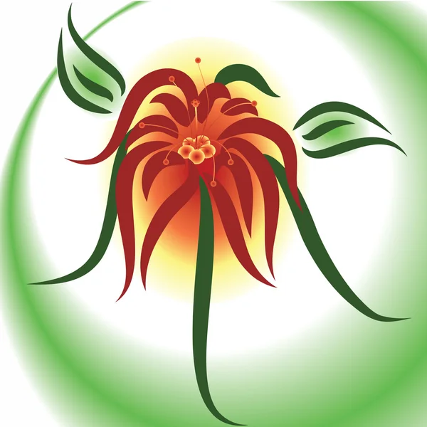 Fond floral avec lis — Image vectorielle