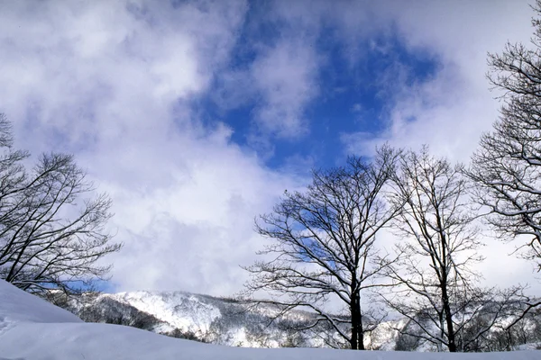 stock image Beautiful Mountains Landscape