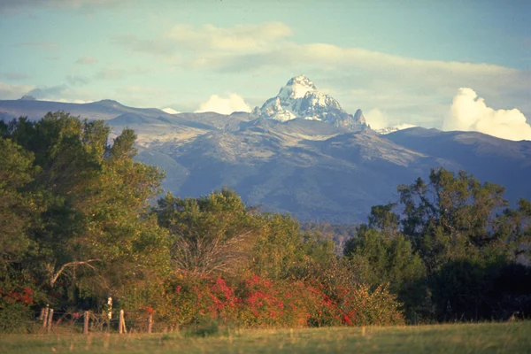 아름다운 산의 풍경 로열티 프리 스톡 사진