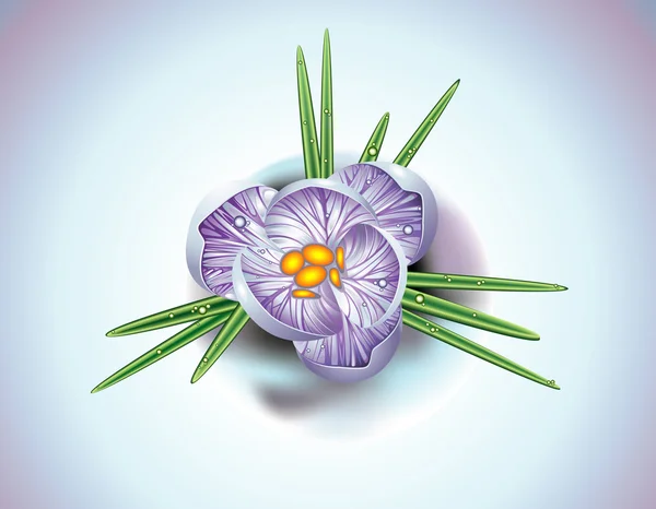 Первый весенний цветок — стоковый вектор