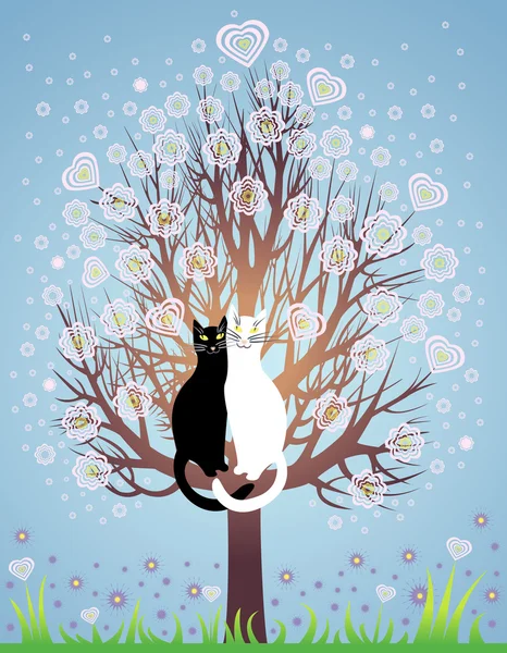 In liefde katten op een bloeiende boom — Stockvector