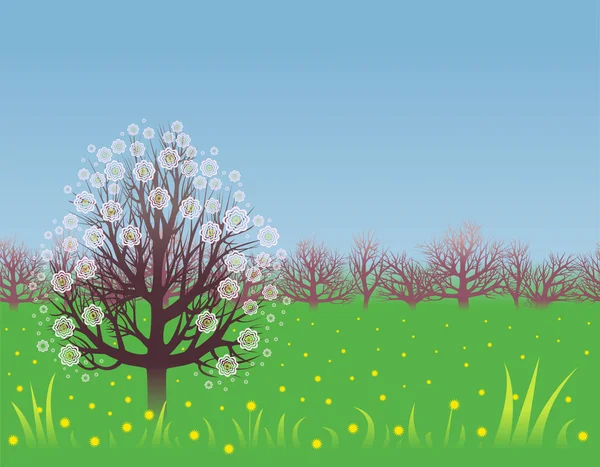 Hintergrund: Frühling — Stockvektor