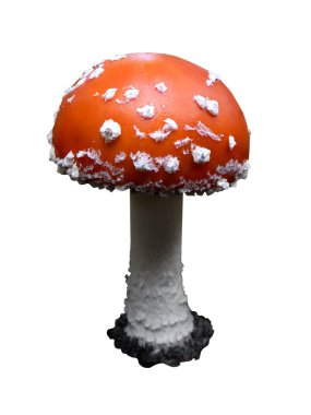 Fly-agaric beyaz bir arka plan üzerinde