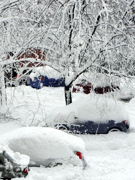Carros sob neve — Fotografia de Stock