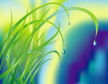 Background with the grass and drops clipart