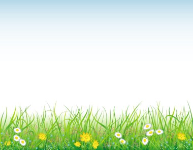 Background with the grass and flowers clipart