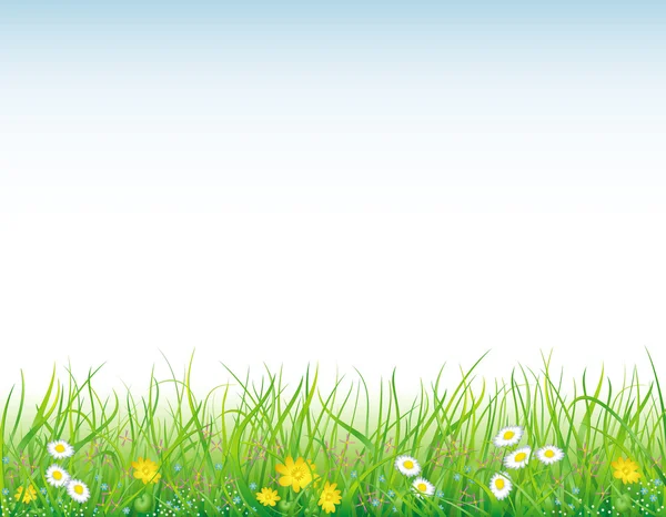Fond avec l'herbe et les fleurs — Image vectorielle