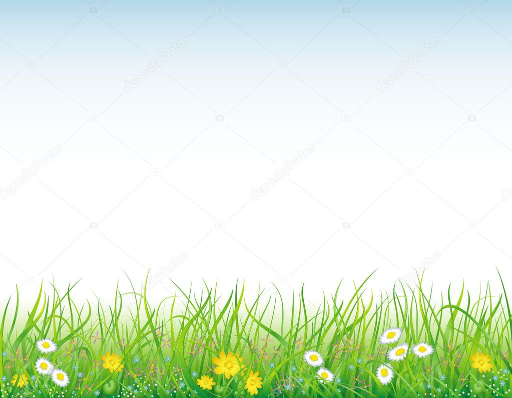 Background with the grass and flowers