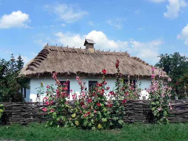 stock image Picturesque rural landscape