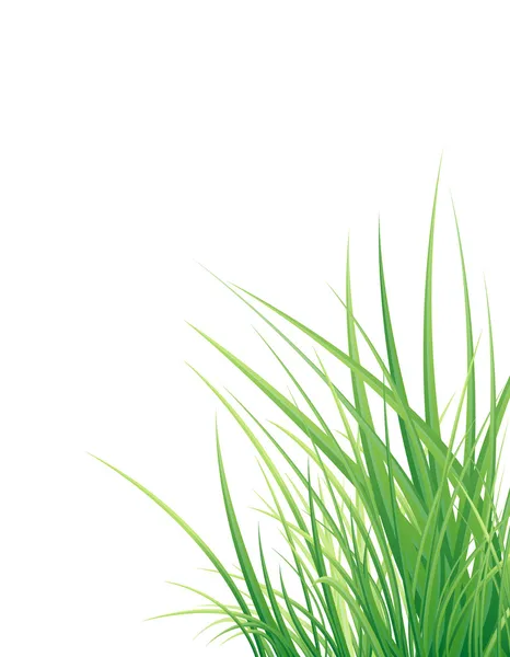 Arrière-plan avec l'herbe — Image vectorielle