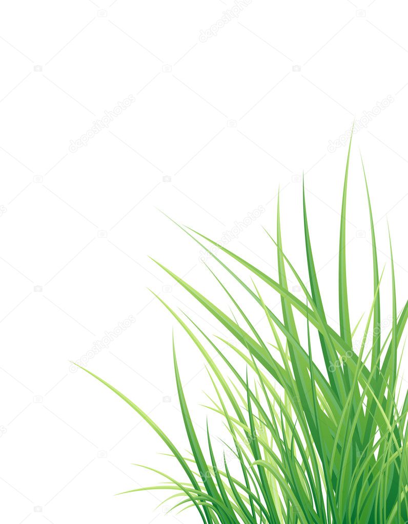 Background with the grass