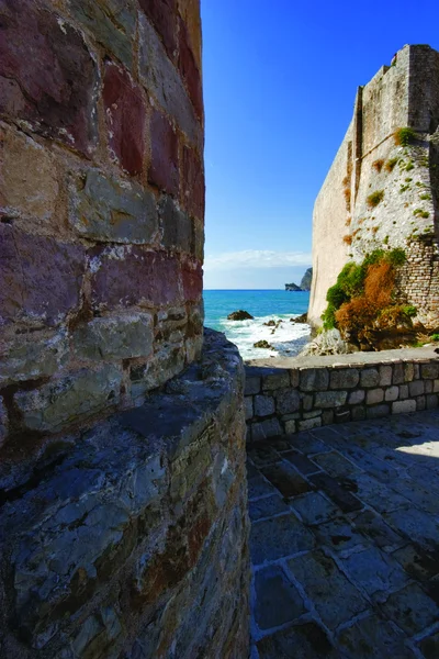 Jeden z widokiem na Morze Adriatyckie — Zdjęcie stockowe